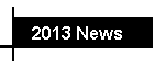 2013 News